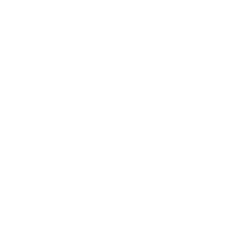 icon white
